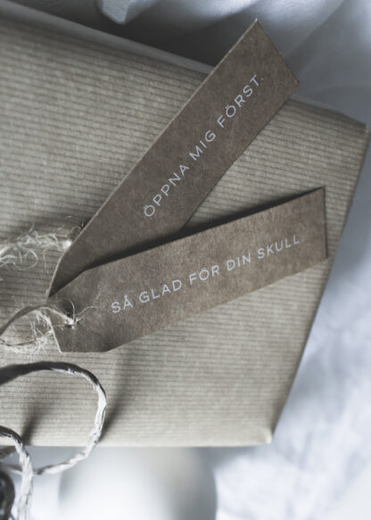 Tags ”SÅ GLAD FÖR DIN SKULL”